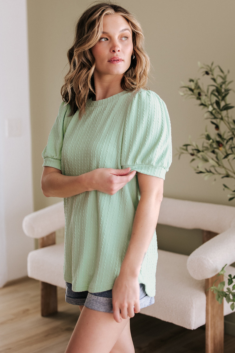 Textured Round Neck Short Puff Sleeve Top
