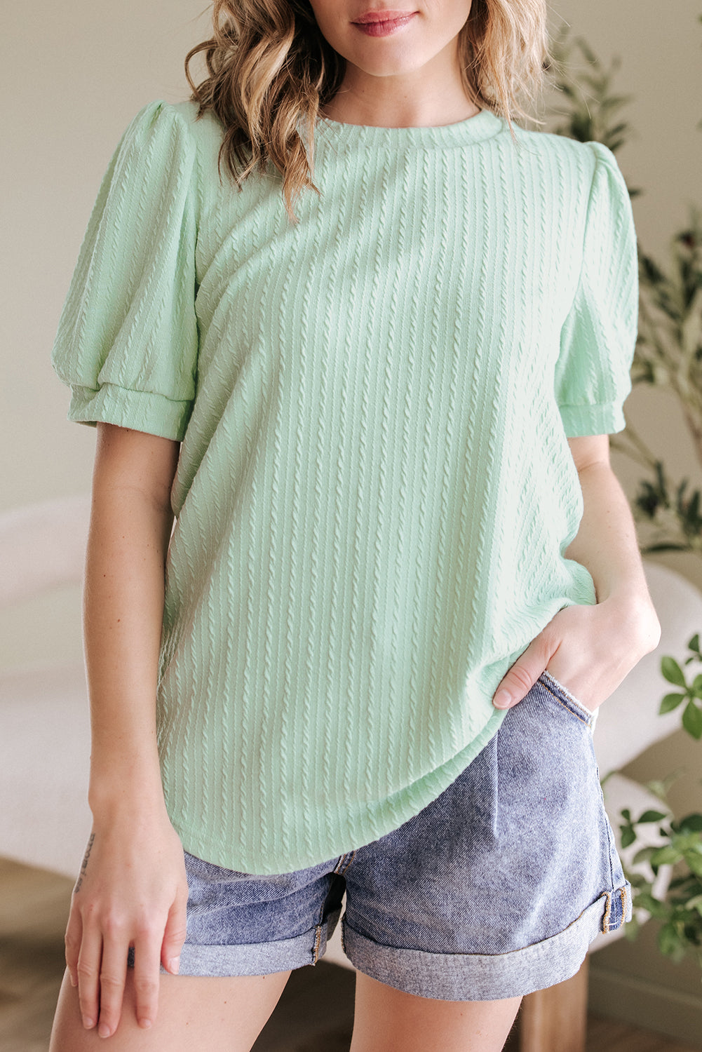 Textured Round Neck Short Puff Sleeve Top