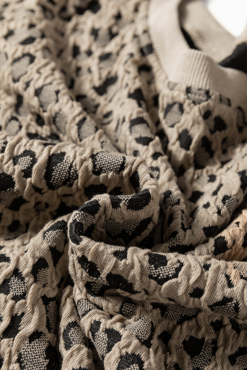 Ribbed Trim Leopard Print Long Sleeve Top