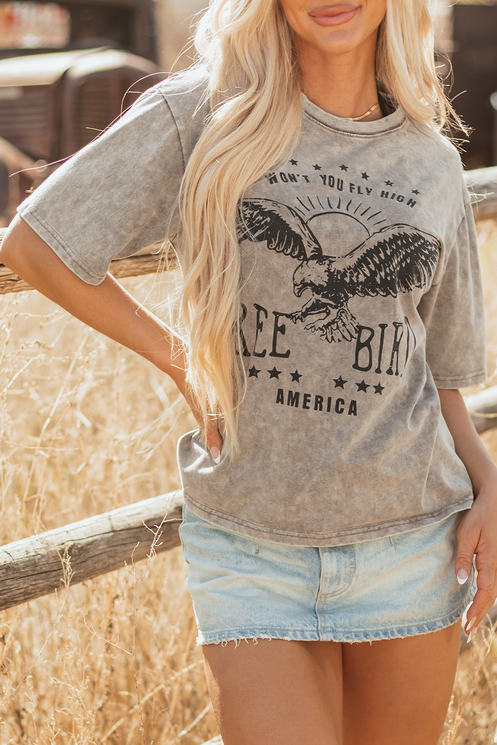 AMERICA FREE BIRD Vintage Graphic Mineral Washed Tee