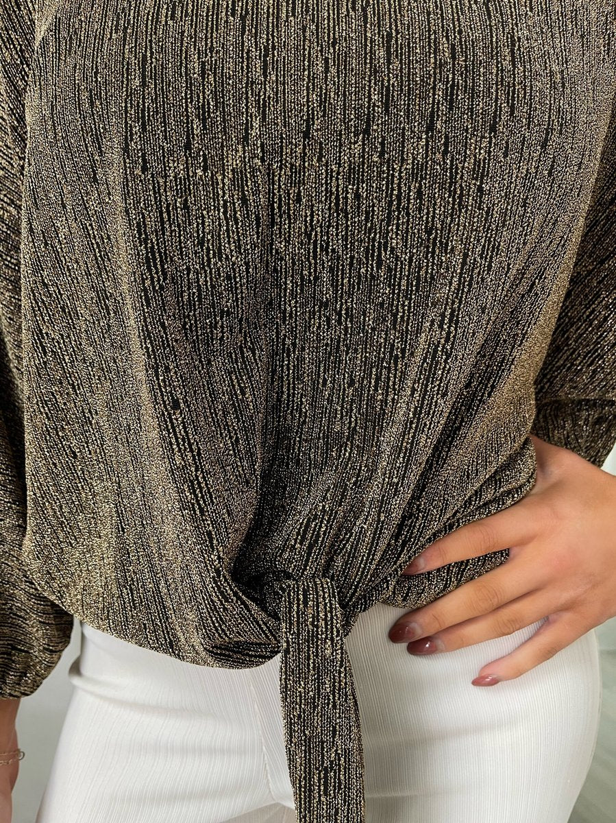 Shimmer Long Sleeve Tie Front Top